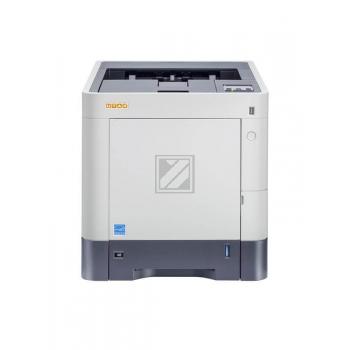 P-C 3061 DN