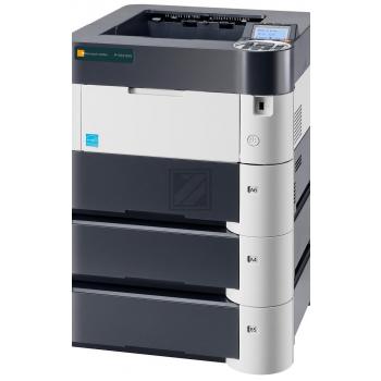 P 5531 DN