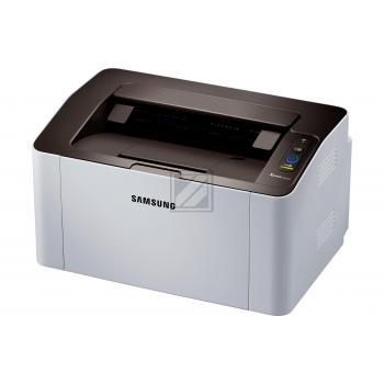 Xpress M 2026 W Xpress M 2026 W
