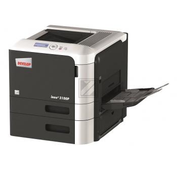 Ineo + 3100 P