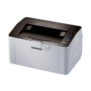 M 2022 W M 2022 W